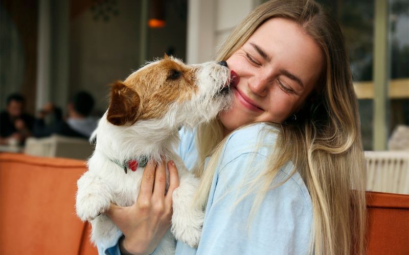 Расшифровываем поведение собак: Почему собаки лижут вам лицо